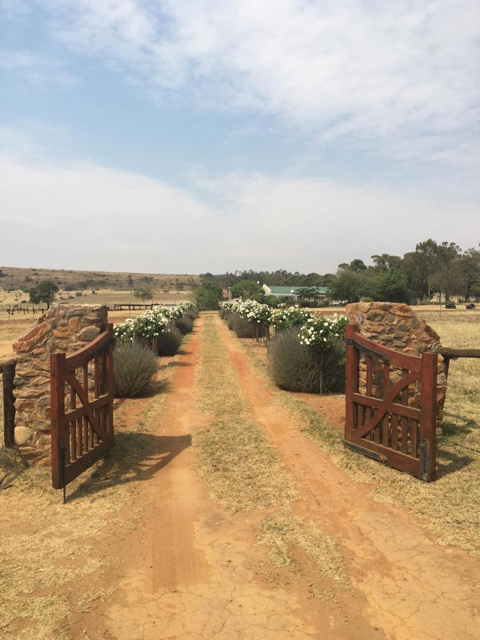 Hotel Sanctuary Life Guest Farm Magaliesburg Exterior foto